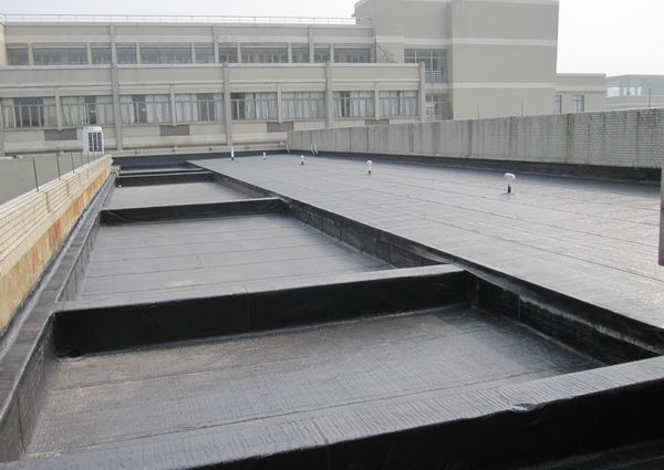 深圳龙华清湖别样城园林水池样板防水